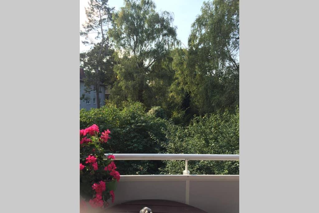 Bahnhofsnahe, Ruhige Und Sonnige 2 Zimmerwohnung Im Dichterviertel Wiesbaden Exterior foto